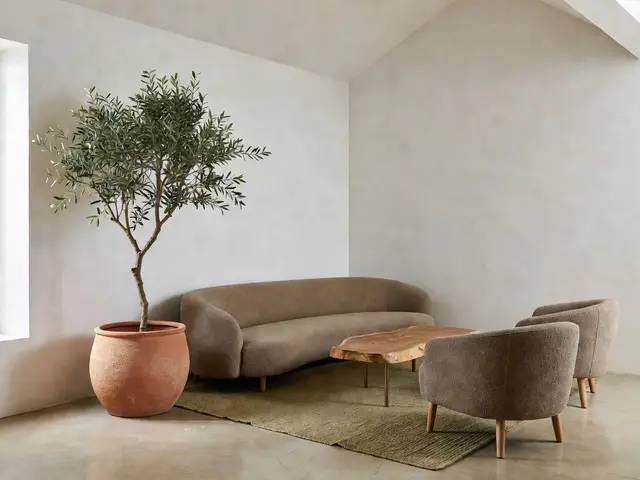 Contemporary Living Room with Olive Tree