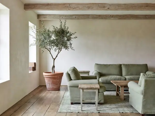 Farmhouse Living Room with Olive Tree