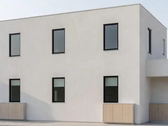 Minimalist Exterior with Black Window Frames