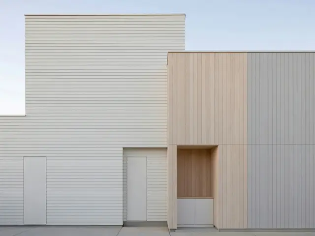 Minimalist Exterior with Mixed Siding