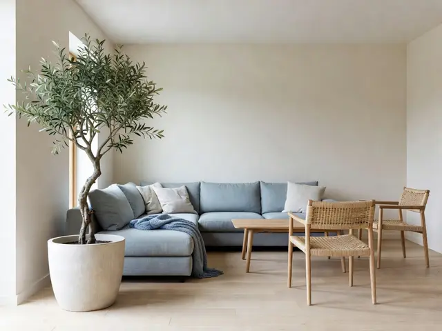Scandinavian Living Room with Olive Tree